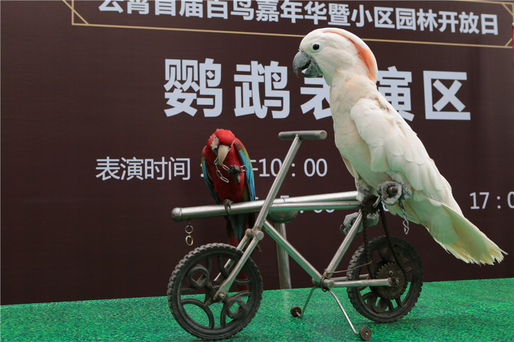 尊龙凯时·(中国区)官方网站