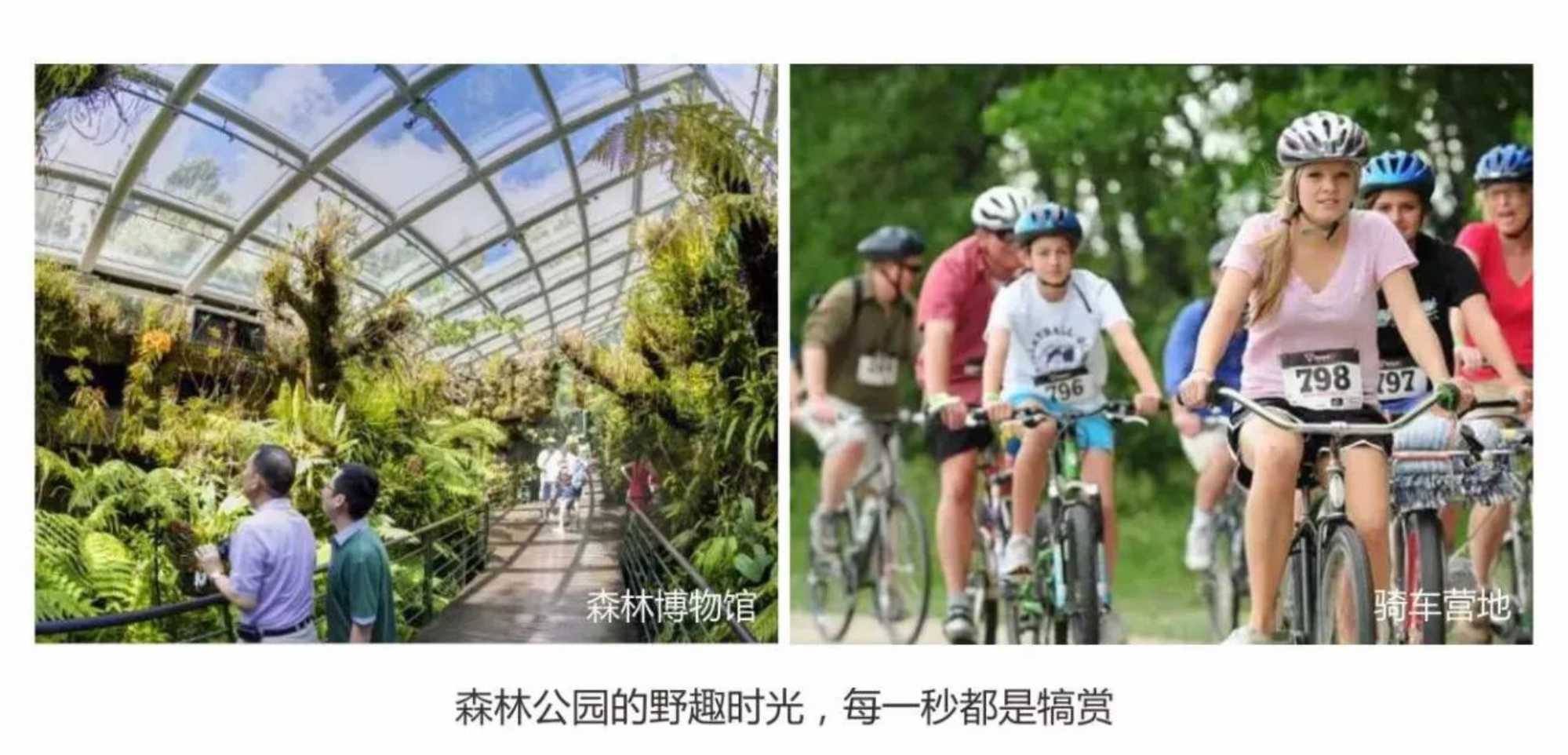 尊龙凯时·(中国区)官方网站